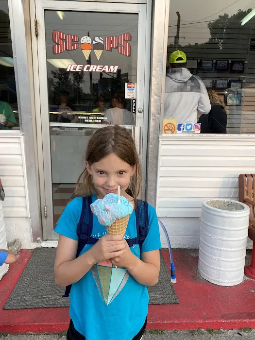 Scoops Ice Cream Picture 9