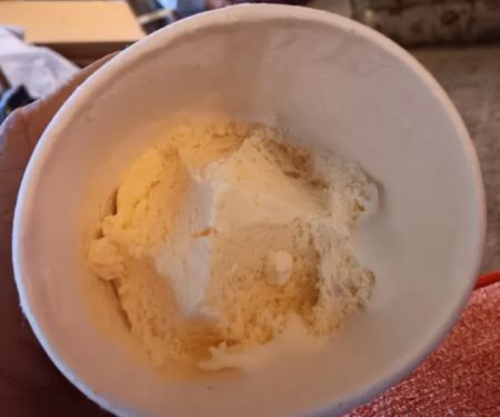 Hudsonville Ice Cream