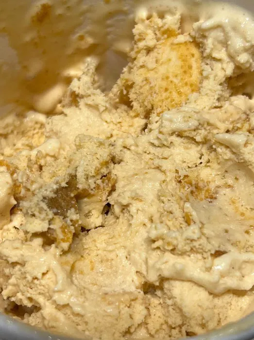 Hudsonville Ice Cream Picture 6