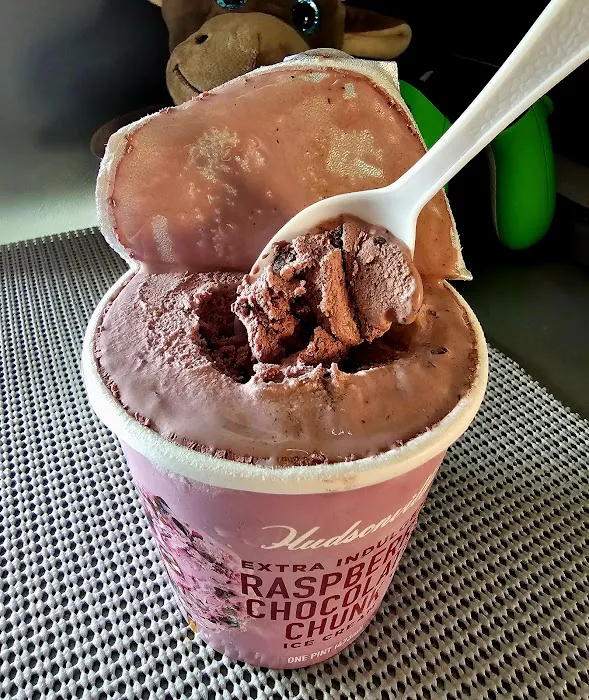 Hudsonville Ice Cream Picture 7