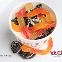Whit's Frozen Custard ico