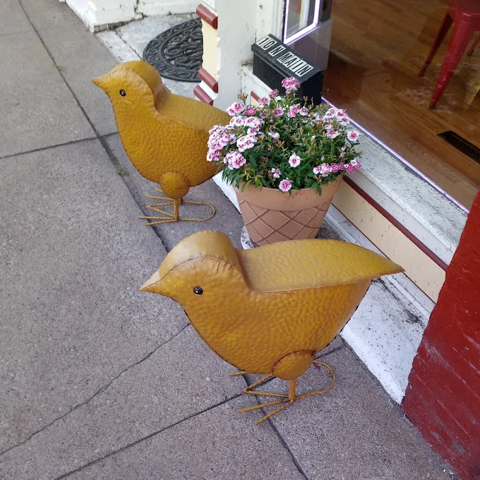 Lil Chicks Picture 6