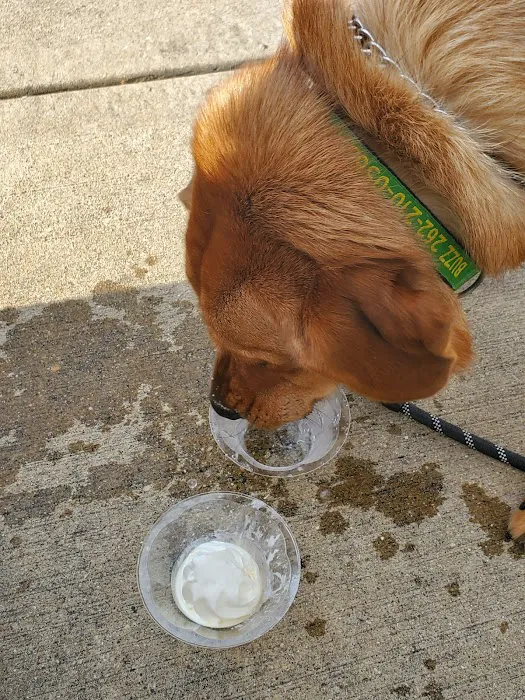 Adrian's Frozen Custard Picture 10