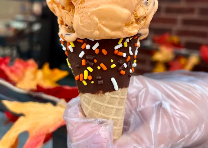 Scoops Ice Cream & Candy Picture 8