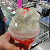 La Michoacana Ice Cream Shop ico