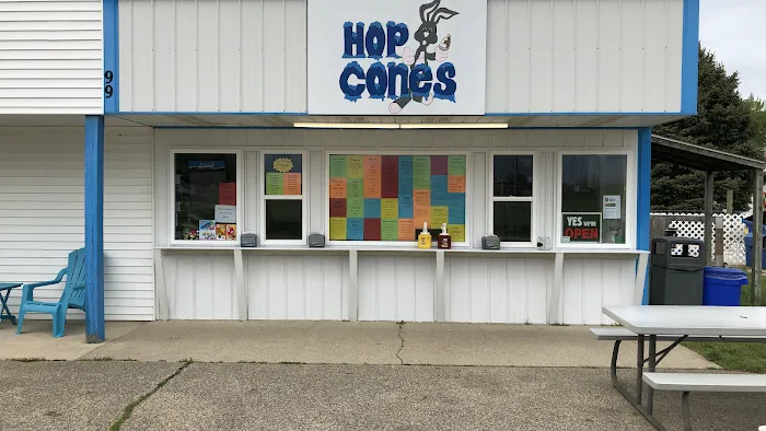 Hop Cones Picture 3