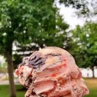 Dairy Dip ico