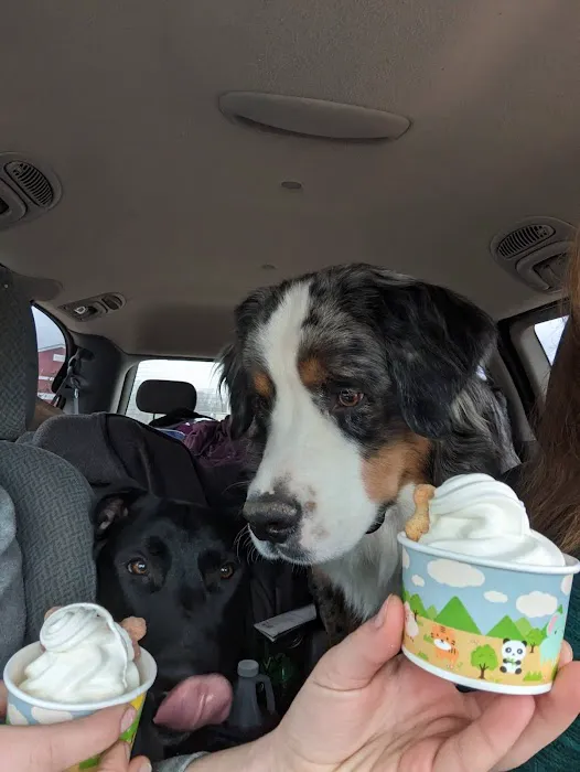 Big Dipper Ice Cream Picture 4