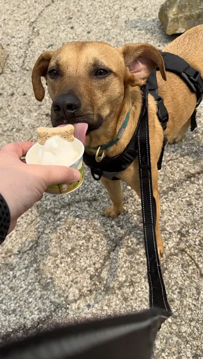 Big Dipper Ice Cream Picture 8