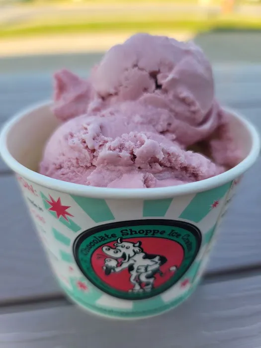 Otto’s Ice Cream. Seasonal with Pop Up Openings! SEE OUR fb page for updated Info. Picture 10