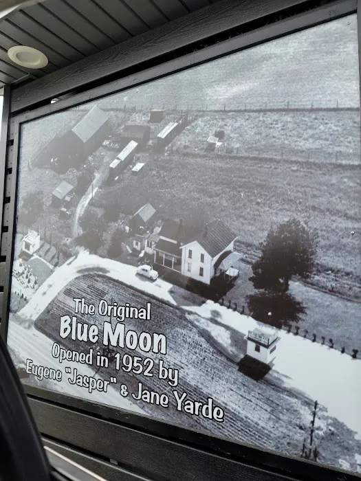 Blue Moon Picture 8