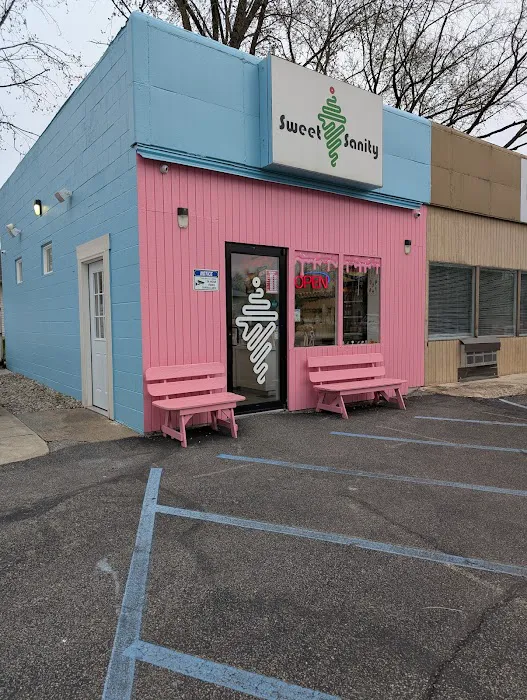 Sweet Sanity Ice Cream Picture 9
