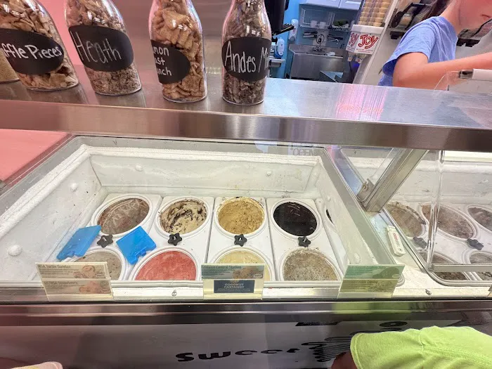 Sweet Sanity Ice Cream Picture 10