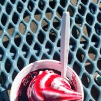 Zesto Ice Cream ico