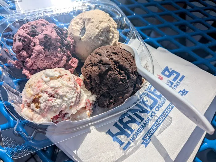 Handel's Homemade Ice Cream Picture 3