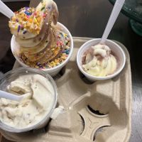 The Perfect Scoop ico