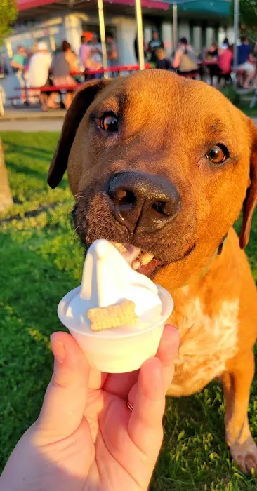 Frosty Treat Picture 7