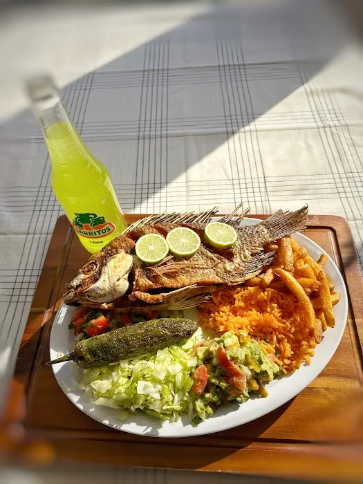 Taqueria La Palma Picture 3