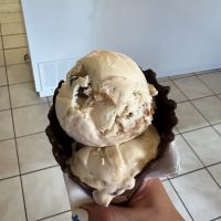Princess Alex Ice Cream Shop ico