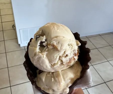 Princess Alex Ice Cream Shop