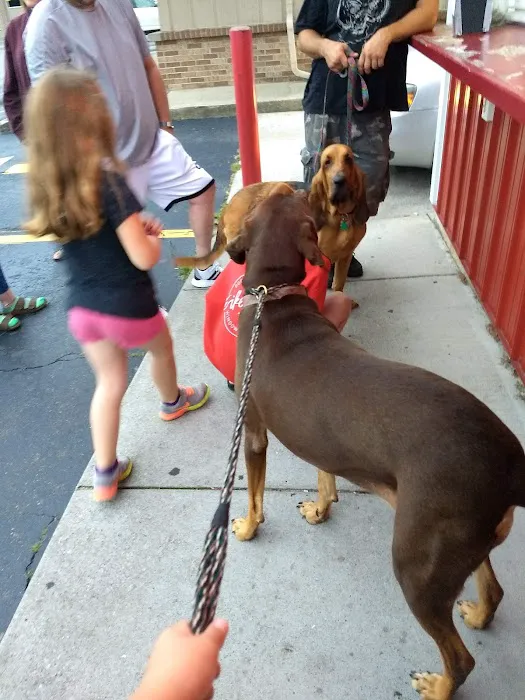 Cone Corral Picture 1
