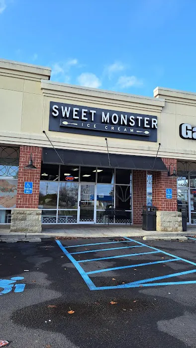 Sweet Monster Ice Cream Picture 10