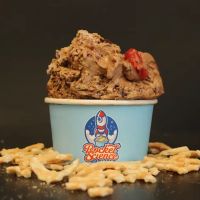 Rocket Science Ice Cream ico