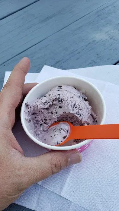 The Frozen Spoon, LLC Picture 10