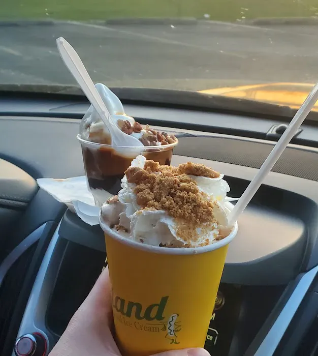 The Stand Coneys & Ice Cream Picture 4