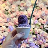 The Berry - Real Fruit ice Cream ico