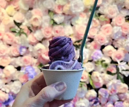 The Berry - Real Fruit ice Cream