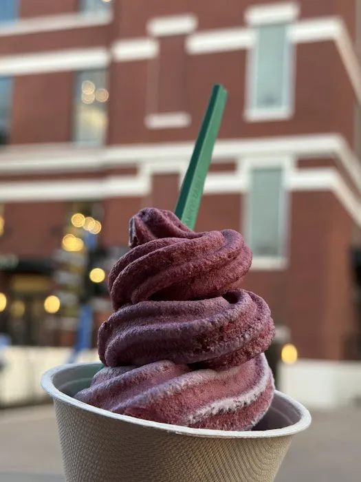 The Berry - Real Fruit ice Cream Picture 2