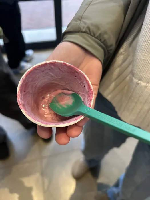The Berry - Real Fruit ice Cream Picture 6