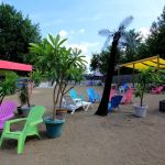 The Island Muncie
