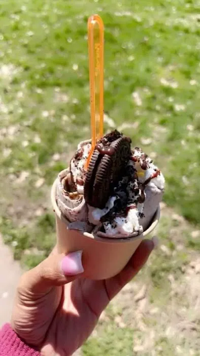 V and J’s Rolled Ice Cream llc Picture 7
