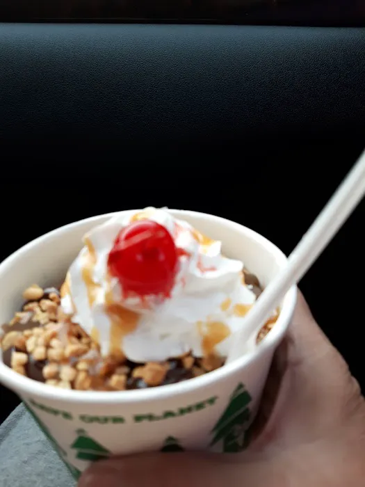 Ice Cream Plus Picture 2