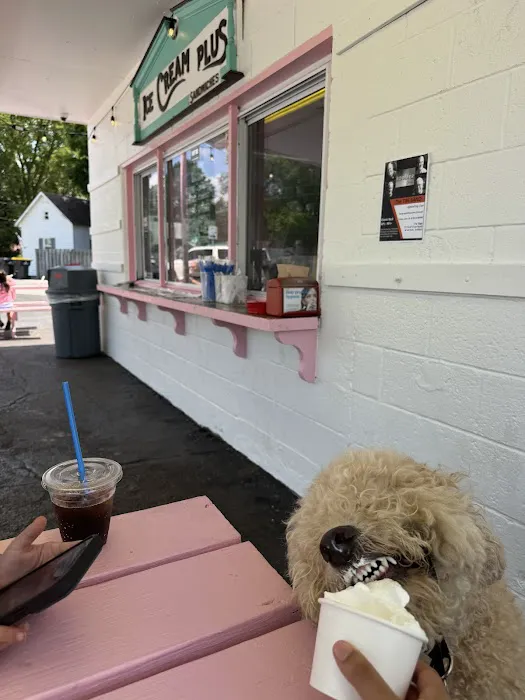 Ice Cream Plus Picture 3