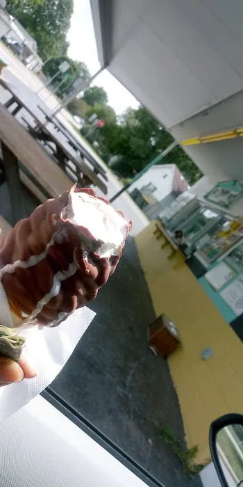 Ice Cream Plus Picture 4