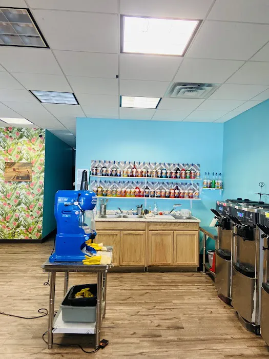 Paradise Shaved Ice & Ice Cream Shop - Noblesville, IN Picture 7