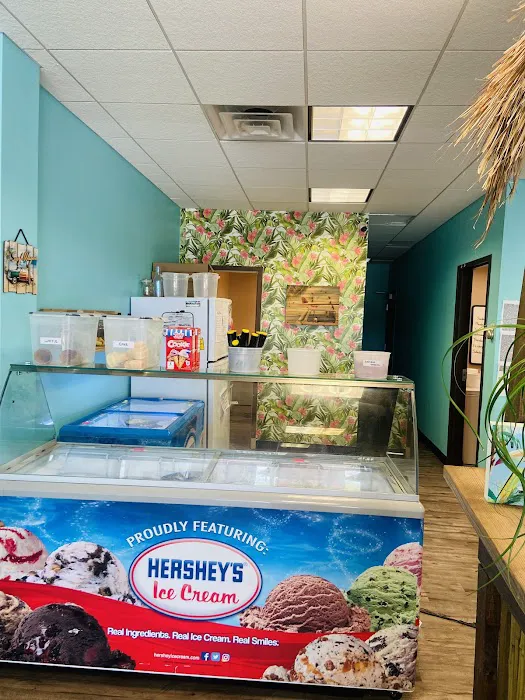 Paradise Shaved Ice & Ice Cream Shop - Noblesville, IN Picture 8