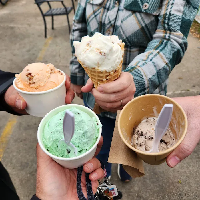 Tippy Cow Ice Cream Picture 4