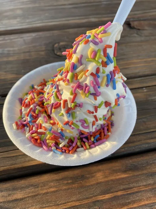 Tastefull Vegan Frozen Desserts Picture 1