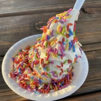 Tastefull Vegan Frozen Desserts ico