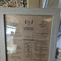 Everyone's Ice Cream ico