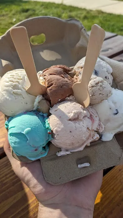 Everyone's Ice Cream Picture 4