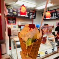 RJ's Ice Cream ico