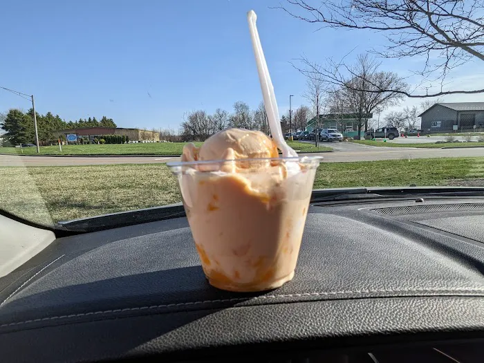 Ollie's Frozen Custard Picture 9