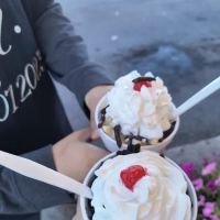 Woody's Cone Stop ico