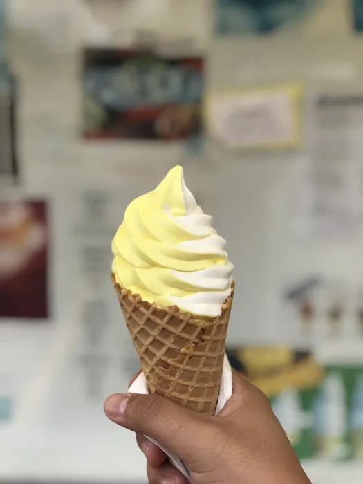 Woody's Cone Stop Picture 7