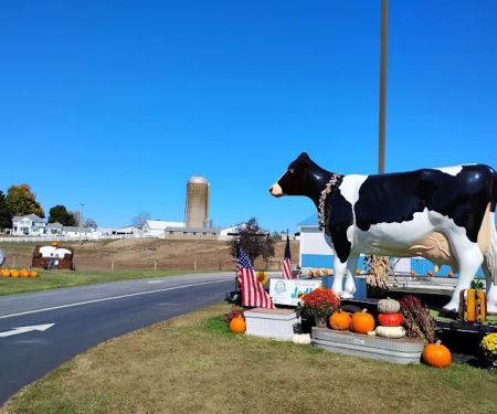 MOO-ville Creamery